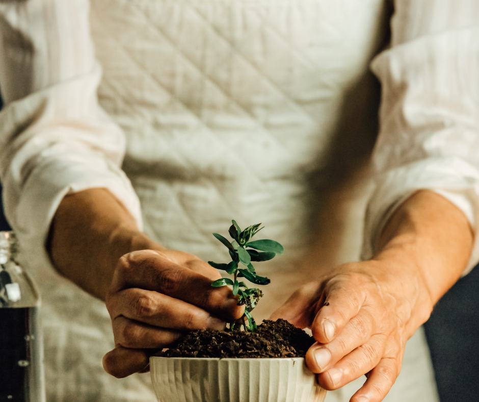 Care Homes Are About Independence, Not Just Care